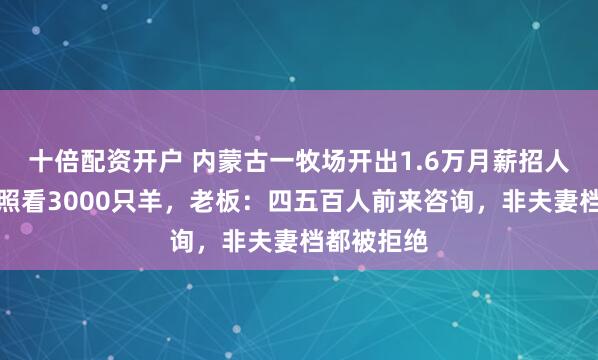 十倍配资开户 内蒙古一牧场开出1.6万月薪招人在无人区照看3000只羊，老板：四五百人前来咨询，非夫妻档都被拒绝